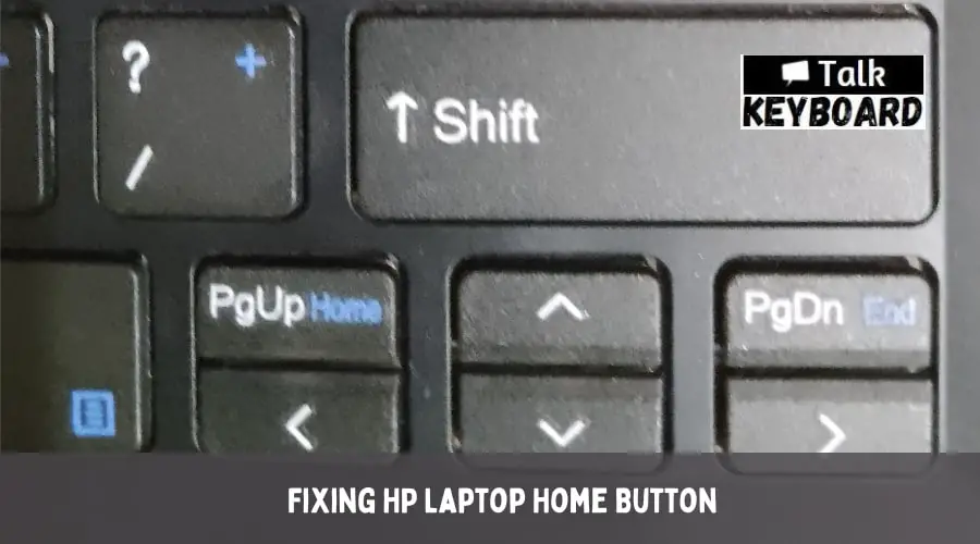 HP Laptop Home Button