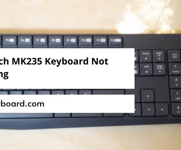 Logitech MK235 Keyboard Not Working
