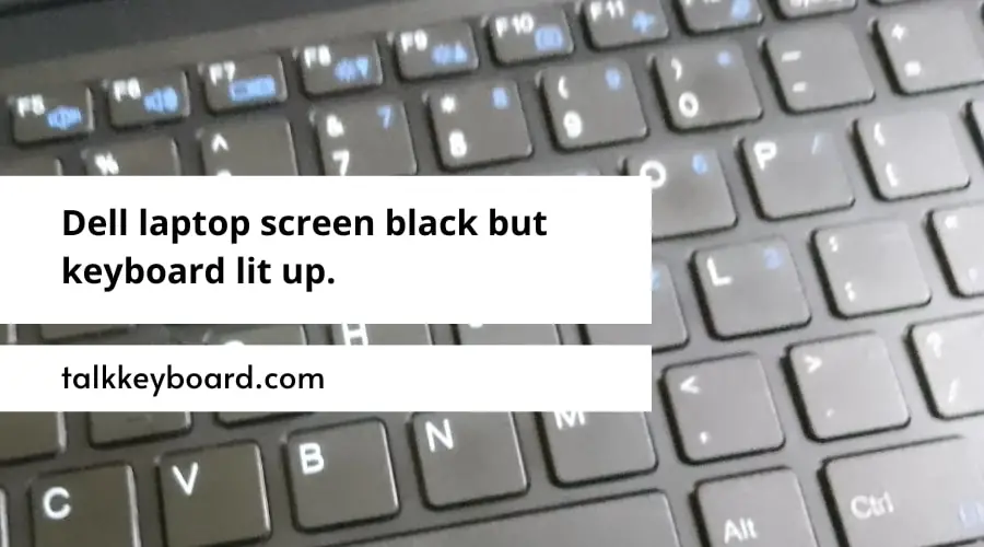 Dell laptop screen black but keyboard lit up.