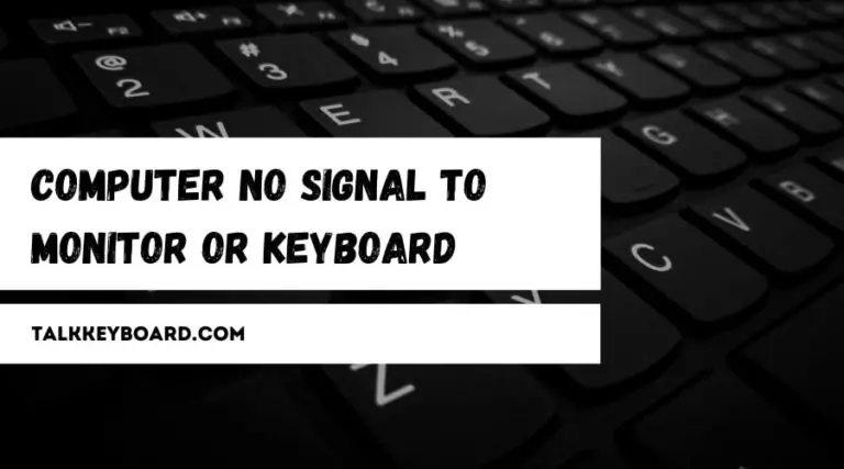 Computer no Signal to Monitor or Keyboard