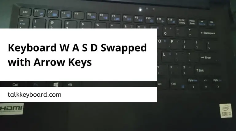 Keyboard W A S D Swapped with Arrow Keys