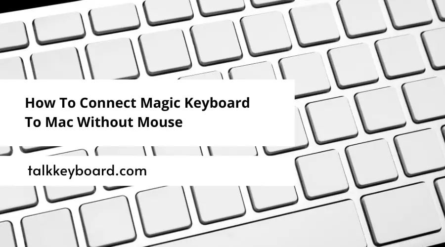 How To Connect Magic Keyboard To Mac Without Mouse