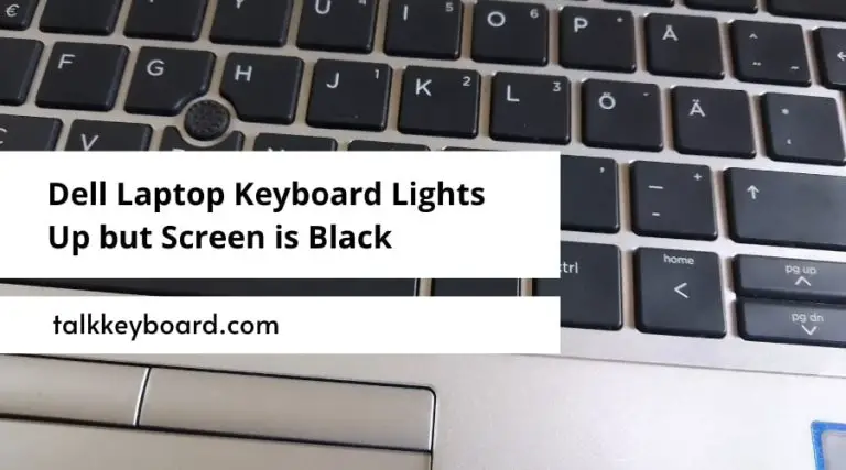 Dell Laptop Keyboard Lights Up but Screen is Black