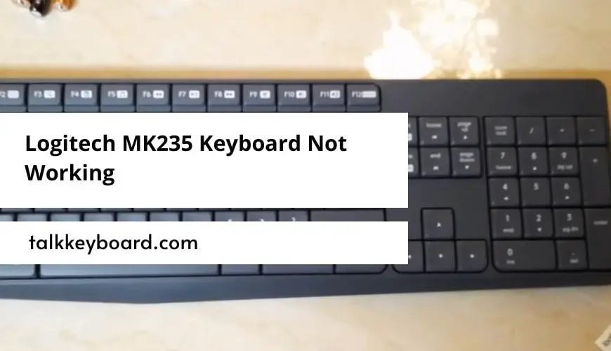 Logitech MK235 Keyboard Not Working