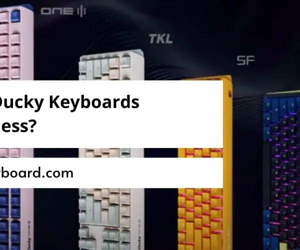 Are Ducky Keyboards Wireless?